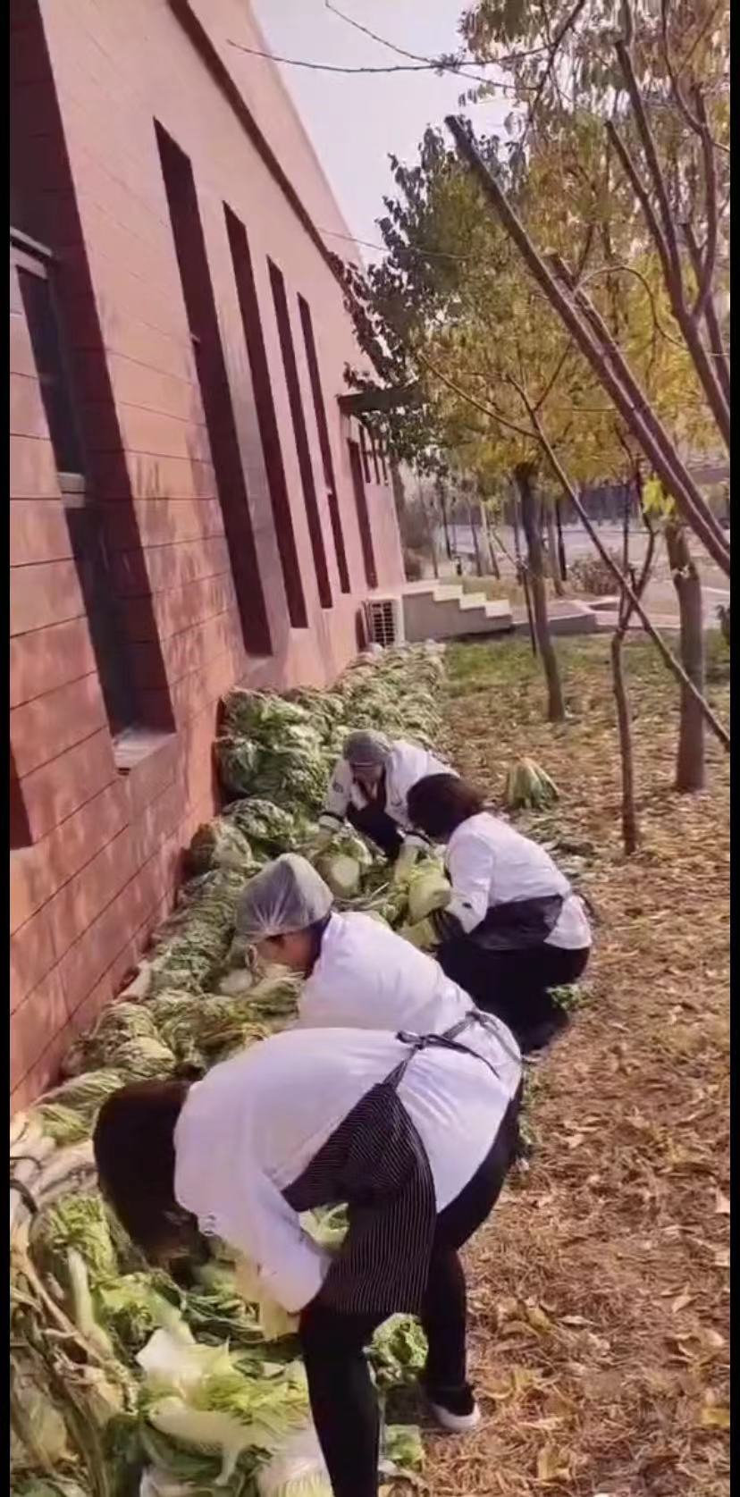 1639533153444260.jpg 1639533153444260.jpg